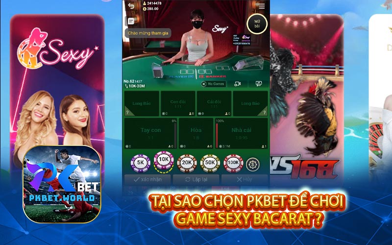 Tại Sao Chọn PKBET Để Chơi Game Sexy Bacarat ?